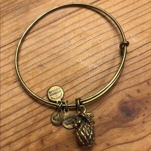 Alex and Ani Gold Pineapple Charm Bangle Bracelet